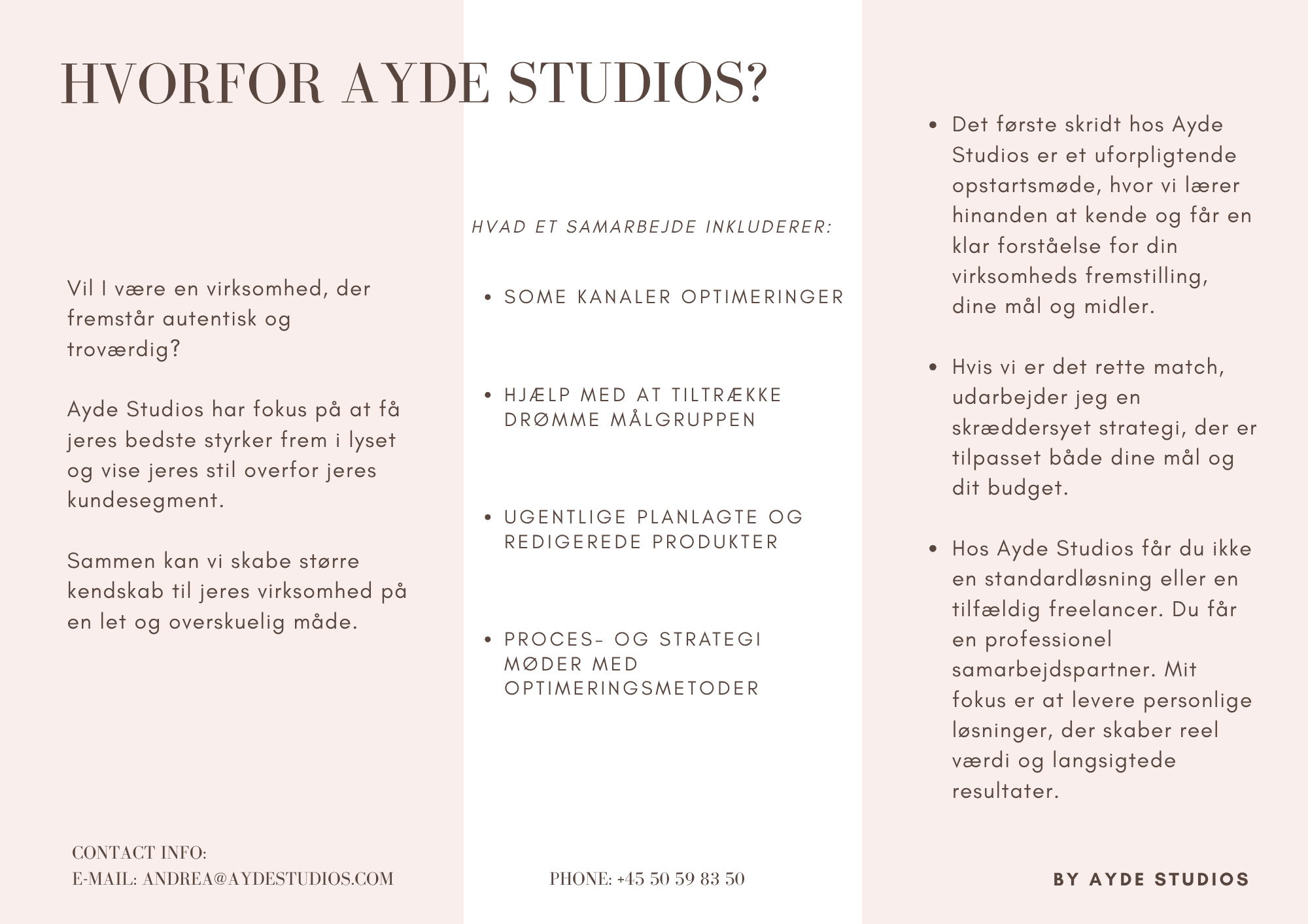 Hvorfor Ayde Studios?